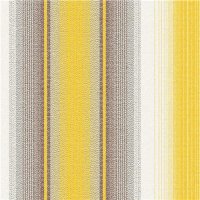 320 254 - ELEMENTS | Stripes